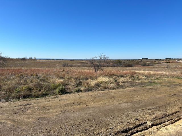2820 Lucky Pepper Drive, Granbury, TX 76049