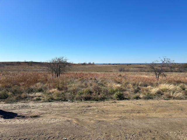 2820 Lucky Pepper Drive, Granbury, TX 76049