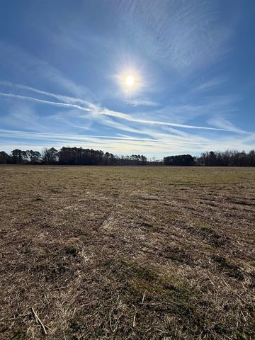 Tract 2 Highway 668, Conway, SC 29526