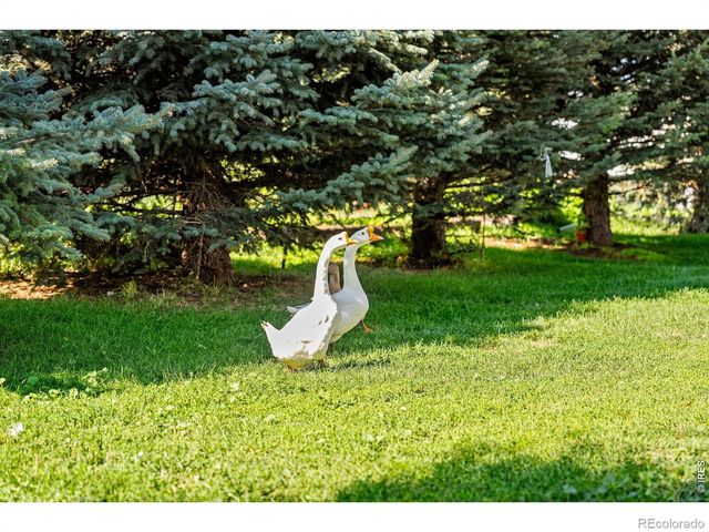 12155 N County Road 15, Wellington, CO 80549