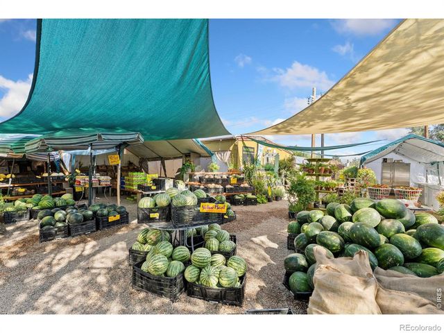 12155 N County Road 15, Wellington, CO 80549