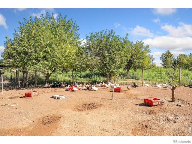 12155 N County Road 15, Wellington, CO 80549