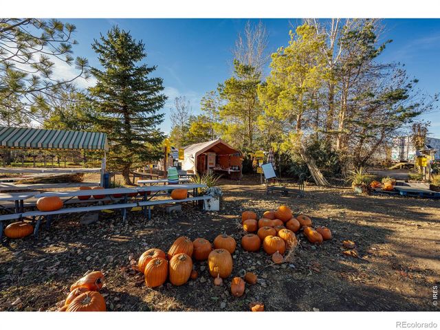 12155 N County Road 15, Wellington, CO 80549