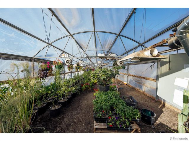 12155 N County Road 15, Wellington, CO 80549