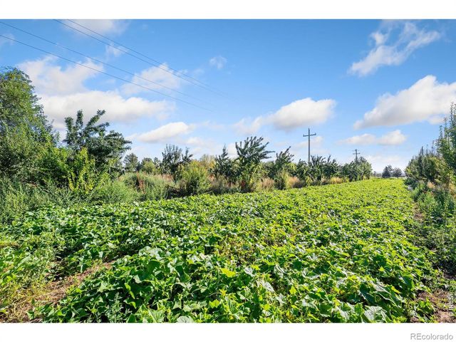 12155 N County Road 15, Wellington, CO 80549