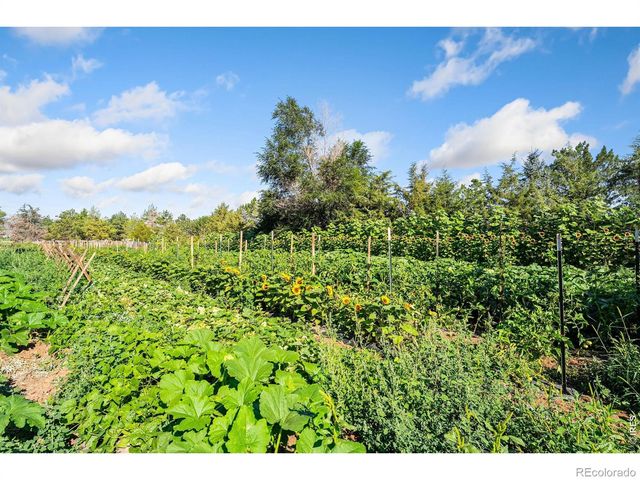 12155 N County Road 15, Wellington, CO 80549