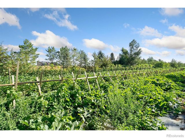 12155 N County Road 15, Wellington, CO 80549