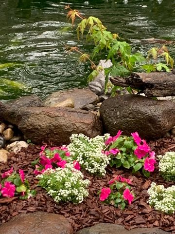 601 Oakborough ave, Roseville, CA 95747