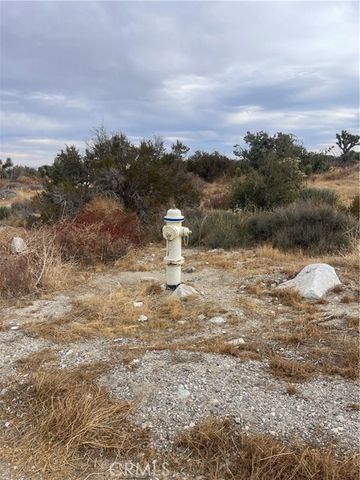 0 PINON HILLS, Pinon Hills, CA 92372