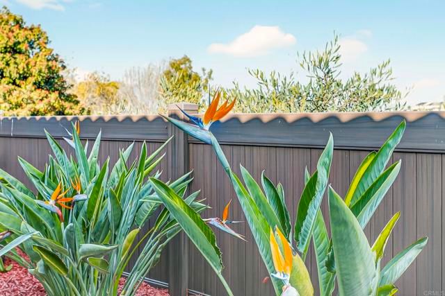 220 Vista Montana Way, Oceanside, CA 92054