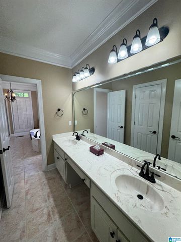 428 MACDONALD LAKE ROAD, Springville, AL 35146