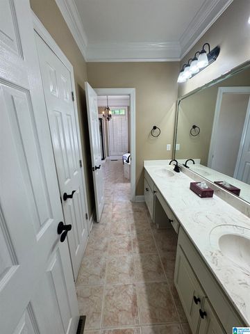 428 MACDONALD LAKE ROAD, Springville, AL 35146