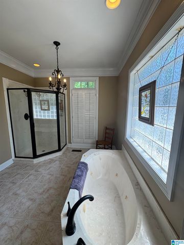 428 MACDONALD LAKE ROAD, Springville, AL 35146