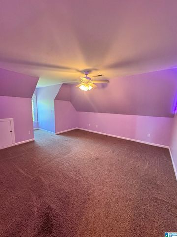 428 MACDONALD LAKE ROAD, Springville, AL 35146