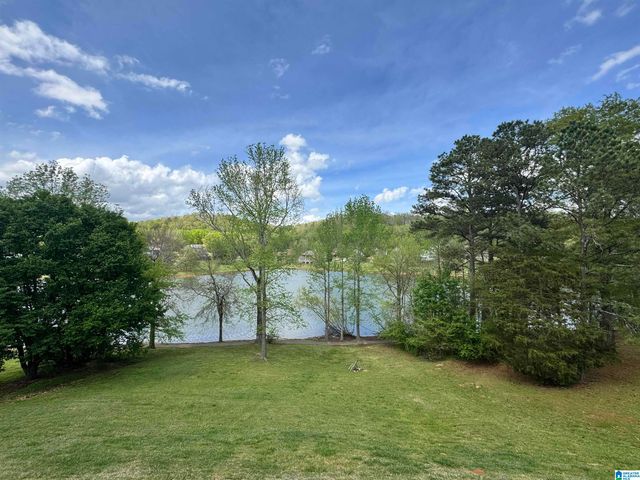 428 MACDONALD LAKE ROAD, Springville, AL 35146
