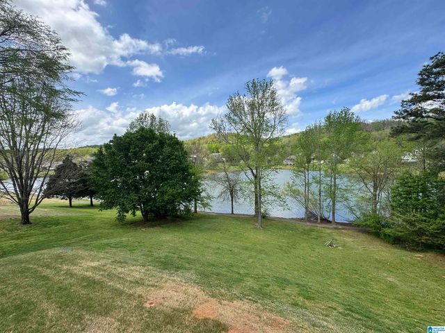 428 MACDONALD LAKE ROAD, Springville, AL 35146