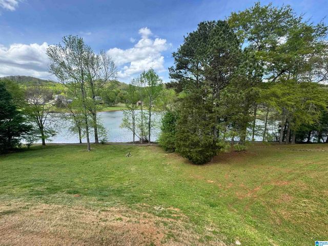 428 MACDONALD LAKE ROAD, Springville, AL 35146