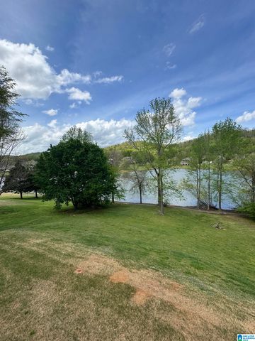 428 MACDONALD LAKE ROAD, Springville, AL 35146