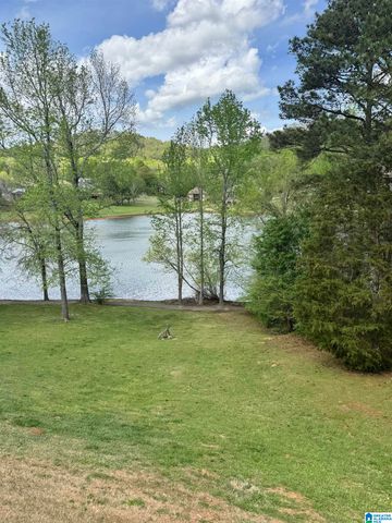 428 MACDONALD LAKE ROAD, Springville, AL 35146