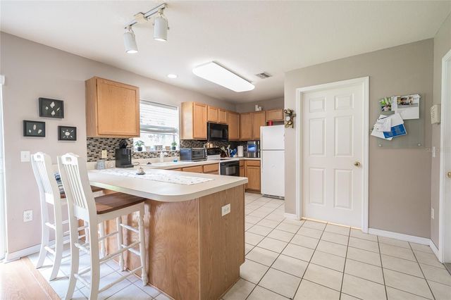 133 SAWTOOTH DRIVE, Valrico, FL 33594