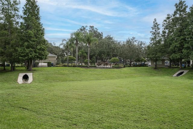 133 SAWTOOTH DRIVE, Valrico, FL 33594