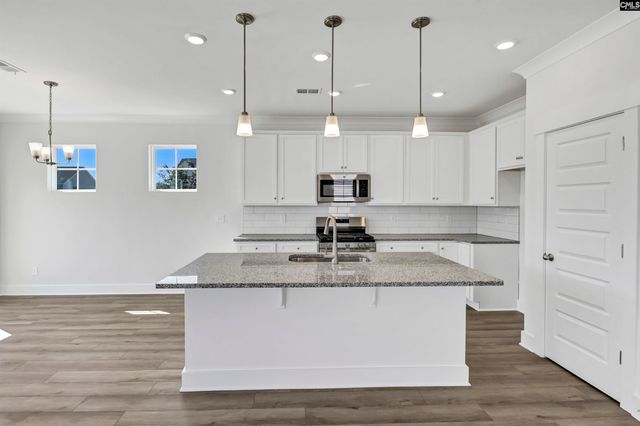 608 Thunder Gulch Avenue, Lexington, SC 29073