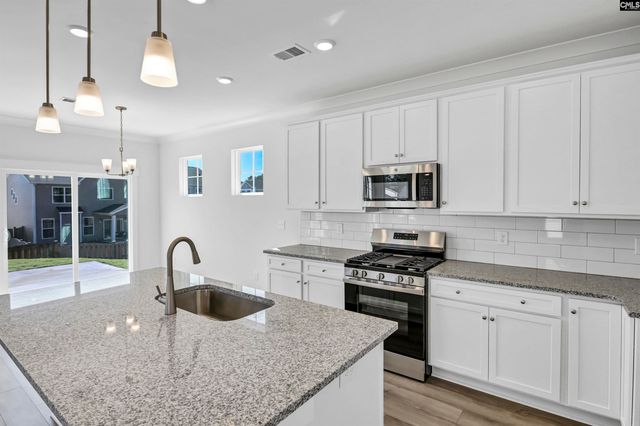 608 Thunder Gulch Avenue, Lexington, SC 29073