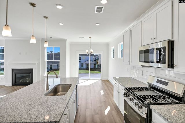 608 Thunder Gulch Avenue, Lexington, SC 29073