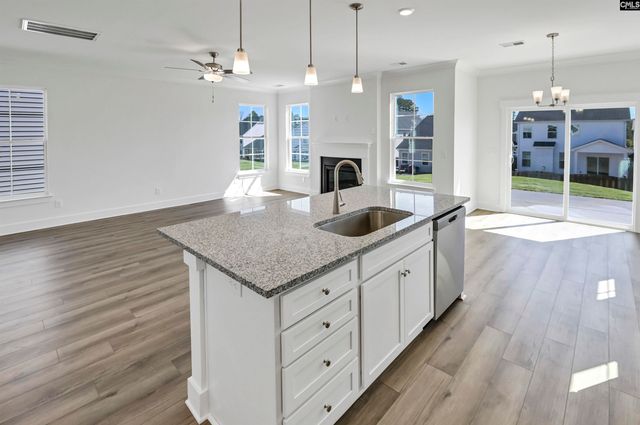 608 Thunder Gulch Avenue, Lexington, SC 29073