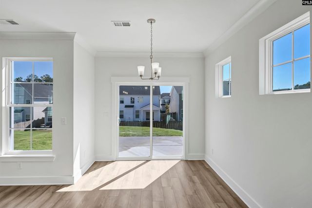 608 Thunder Gulch Avenue, Lexington, SC 29073