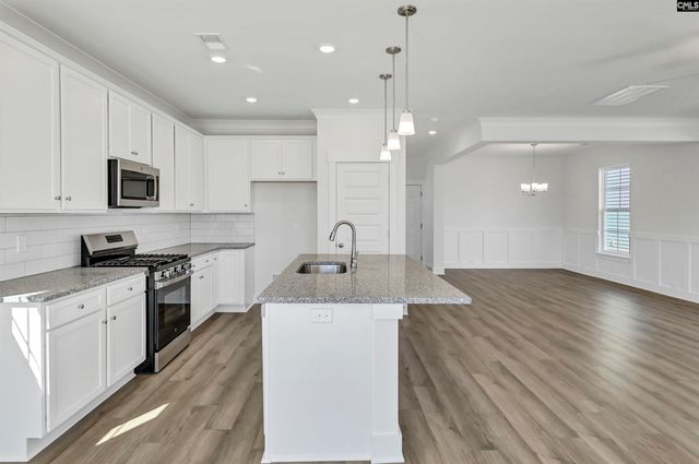 608 Thunder Gulch Avenue, Lexington, SC 29073