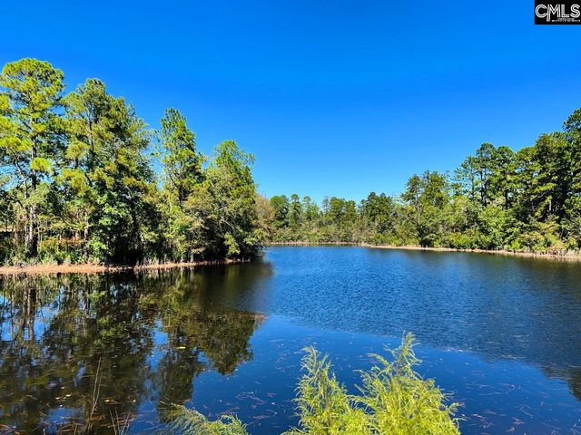 608 Thunder Gulch Avenue, Lexington, SC 29073