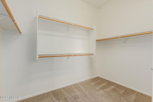 12576 N Gentle Rain Drive, Marana, AZ 85658