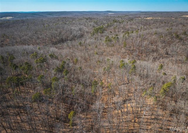 37803 State Highway HH, Patton, MO 63662