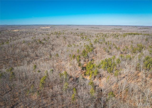 37803 State Highway HH, Patton, MO 63662