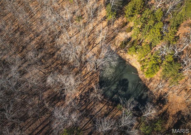 37803 State Highway HH, Patton, MO 63662