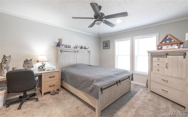 37803 State Highway HH, Patton, MO 63662