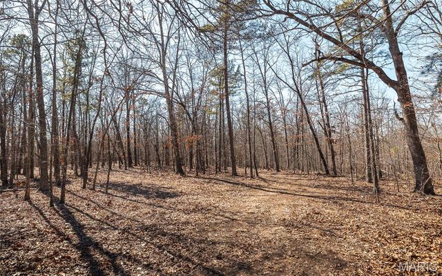 37803 State Highway HH, Patton, MO 63662