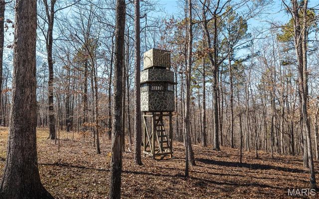 37803 State Highway HH, Patton, MO 63662