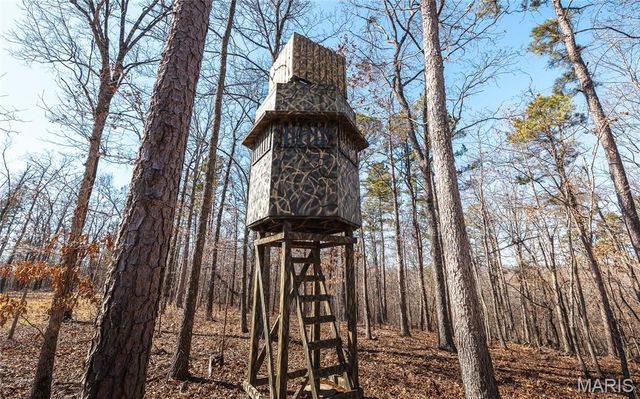 37803 State Highway HH, Patton, MO 63662