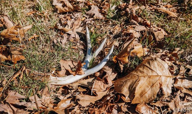 37803 State Highway HH, Patton, MO 63662