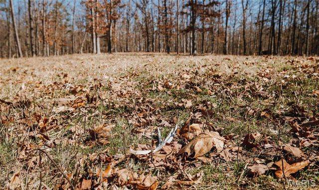 37803 State Highway HH, Patton, MO 63662