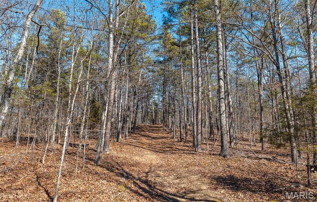 37803 State Highway HH, Patton, MO 63662