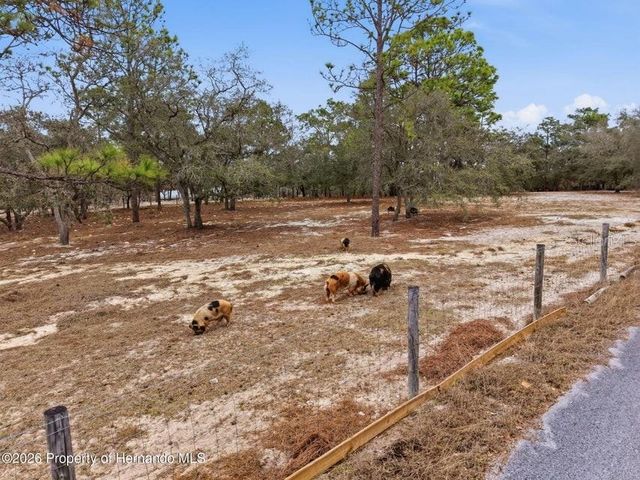 12124 SQUEEZE AVENUE, Brooksville, FL 34614