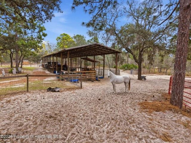 12124 SQUEEZE AVENUE, Brooksville, FL 34614