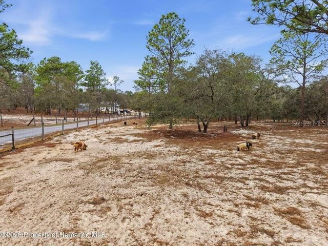 12124 SQUEEZE AVENUE, Brooksville, FL 34614