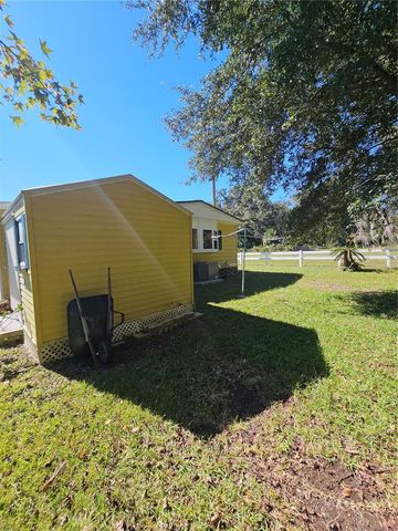 15 WILDERNESS DRIVE, Lake Panasoffkee, FL 33538