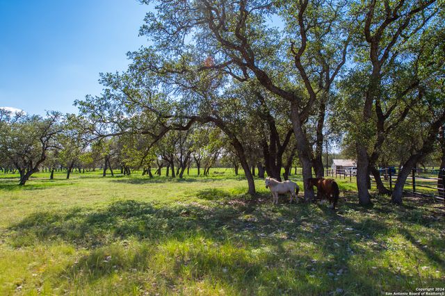 2401 COUNTY ROAD 343, Hondo, TX 78861