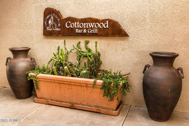 25273 S BERRY BROOK Drive, Sun Lakes, AZ 85248