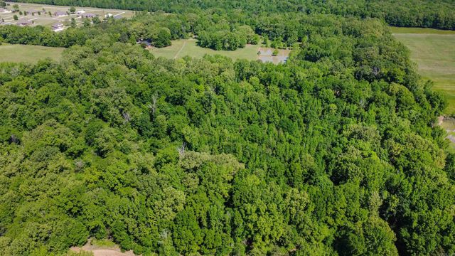 250 Ivy Drive, Lonoke, AR 72086